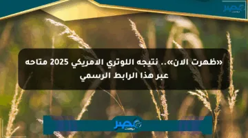 «ظهرت الآن».. نتيجة اللوتري الأمريكي 2025 متاحة عبر هذا الرابط الرسمي